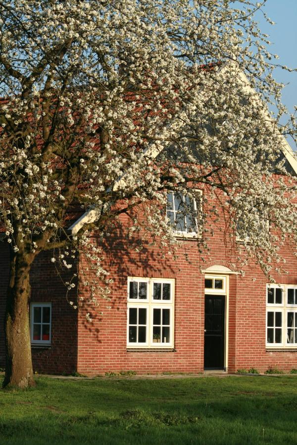 B&B Erve Ten Dam Ambt Delden 外观 照片